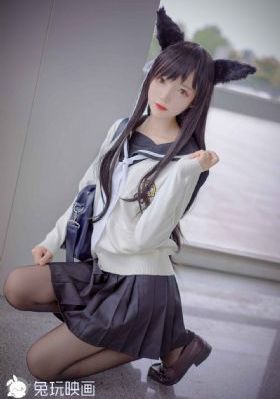 731部队免费在线观看_720电影在线看